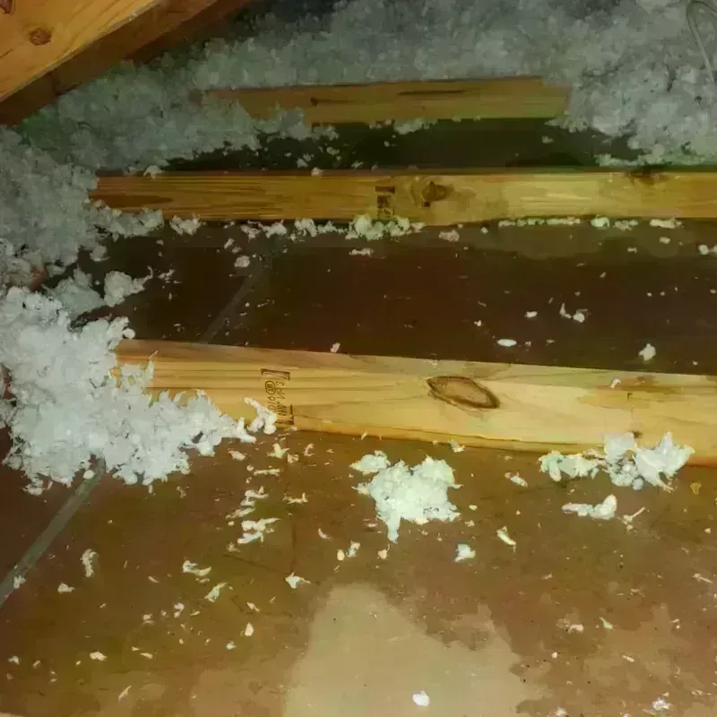 Attic Water Damage in Chesterfield, MO