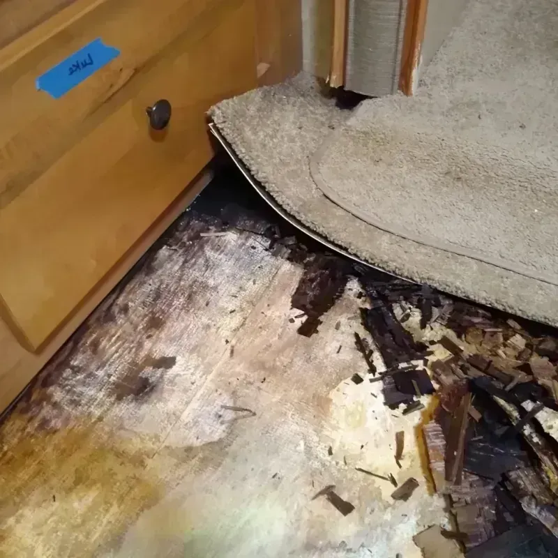 Wood Floor Water Damage in Chesterfield, MO